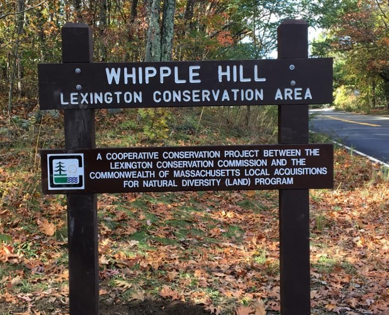 Whipple Hill Sign1.JPG