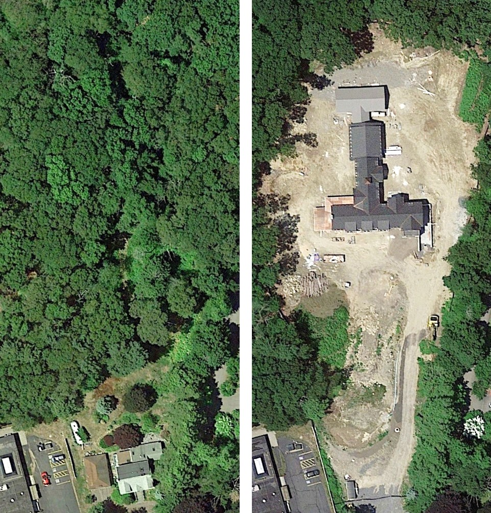 View of Lexington trees from above