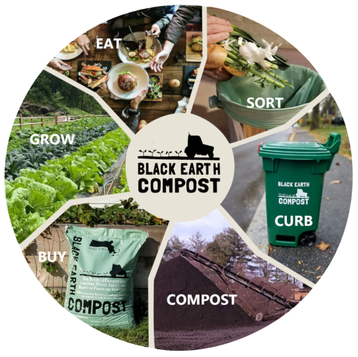 circle showing the six stages of composting