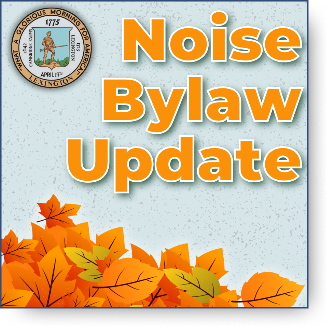 Noise Bylaw Update