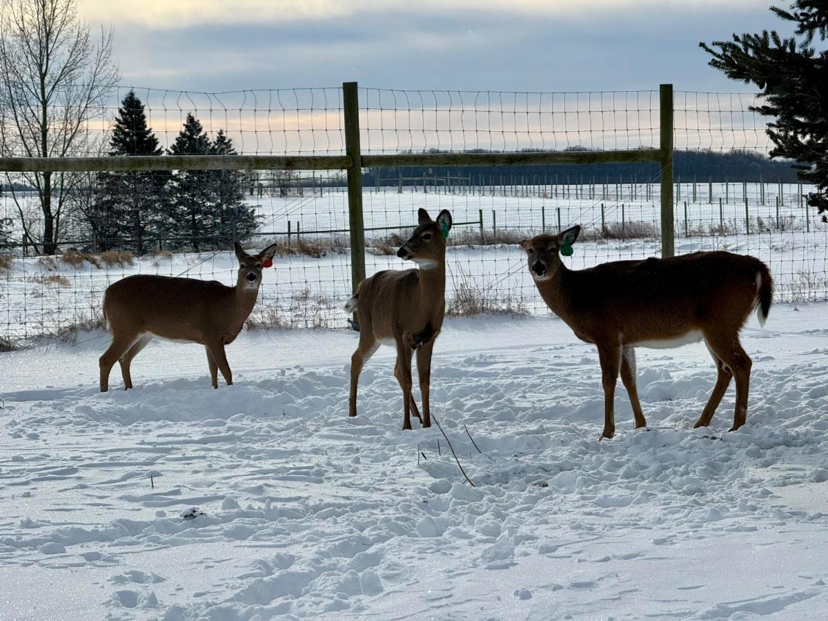 Wildwood Zoo donations