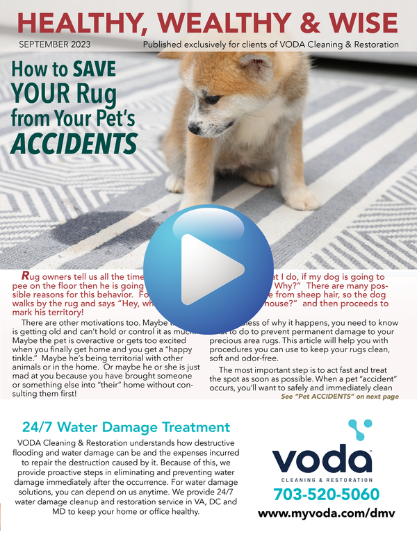 How to SAVE YOUR Rug from your Pet's ACCIDENTS