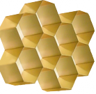 COO