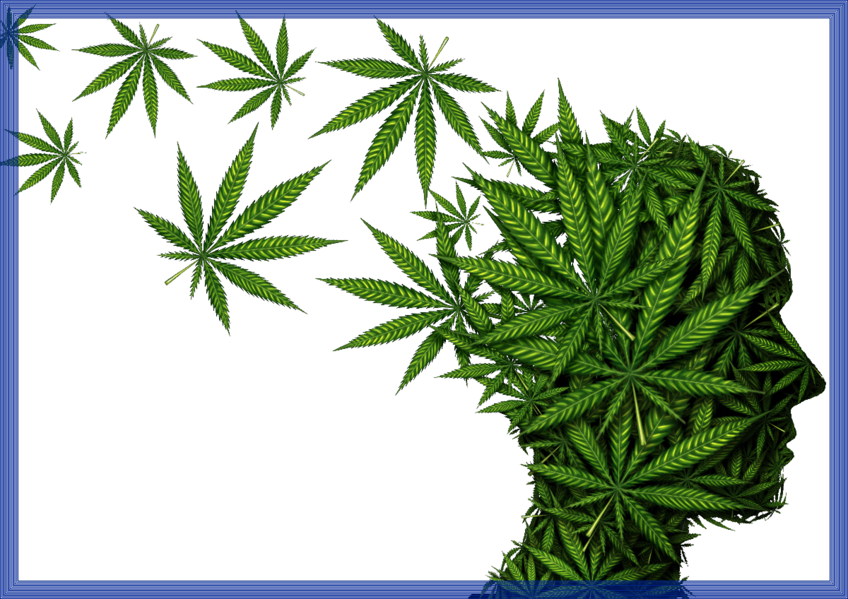 Picture of a head filled with marijuana leaves
