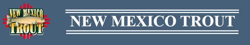 Newsletter Header