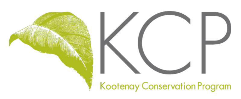 KCP logo