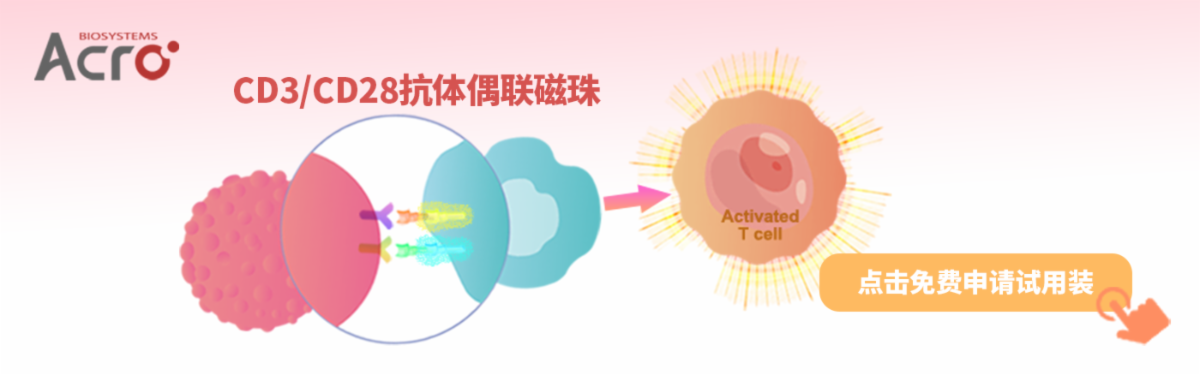 CD3/CD28抗体偶联磁珠，可免费申请试用装！