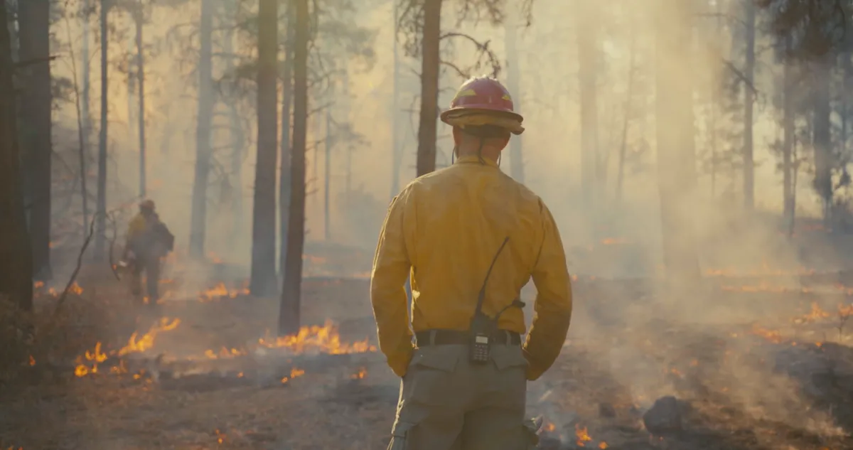 3664fdc1-0980-4075-84f4-15366ec5f88b image