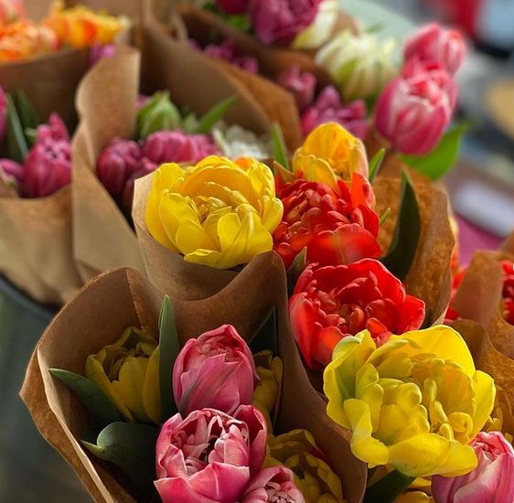 Tulip Bouquets