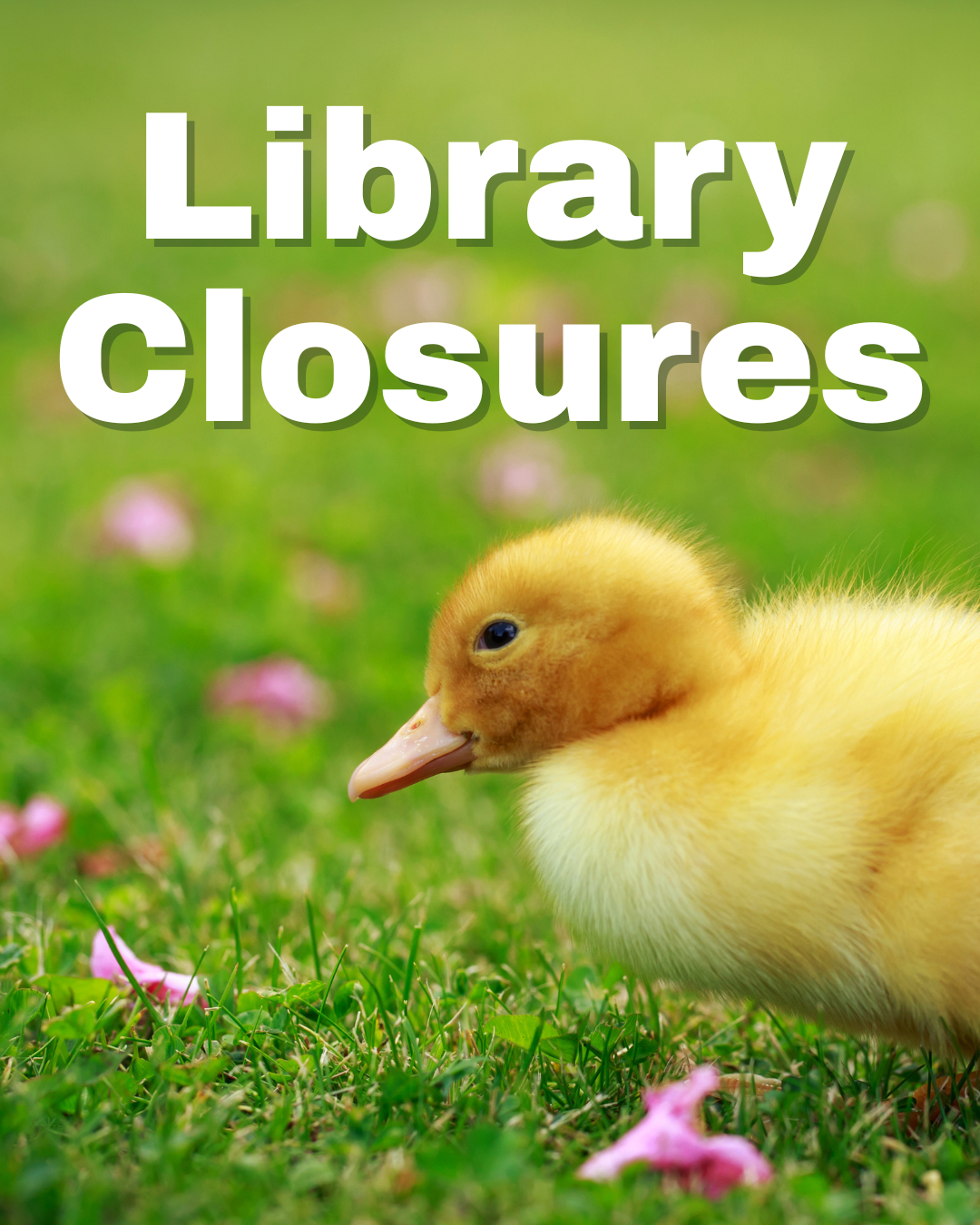 [Image] Spring Closures