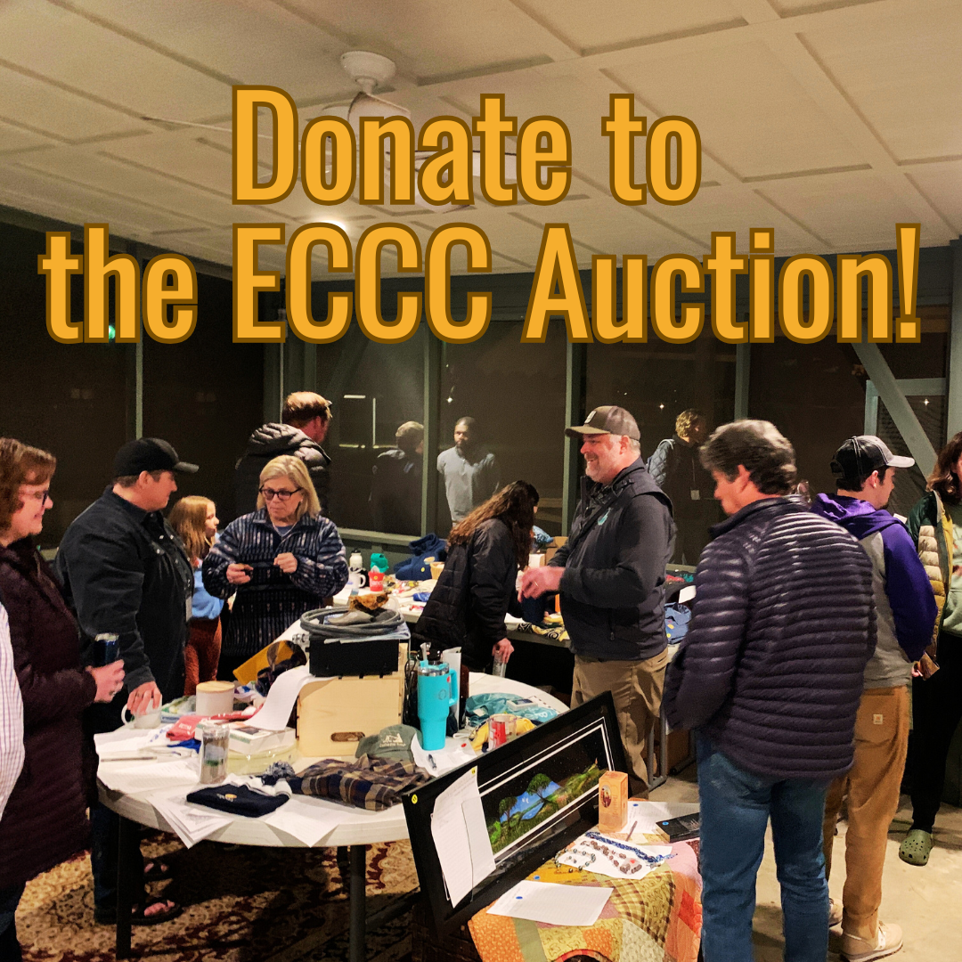 Donate to the ECCC Auction!