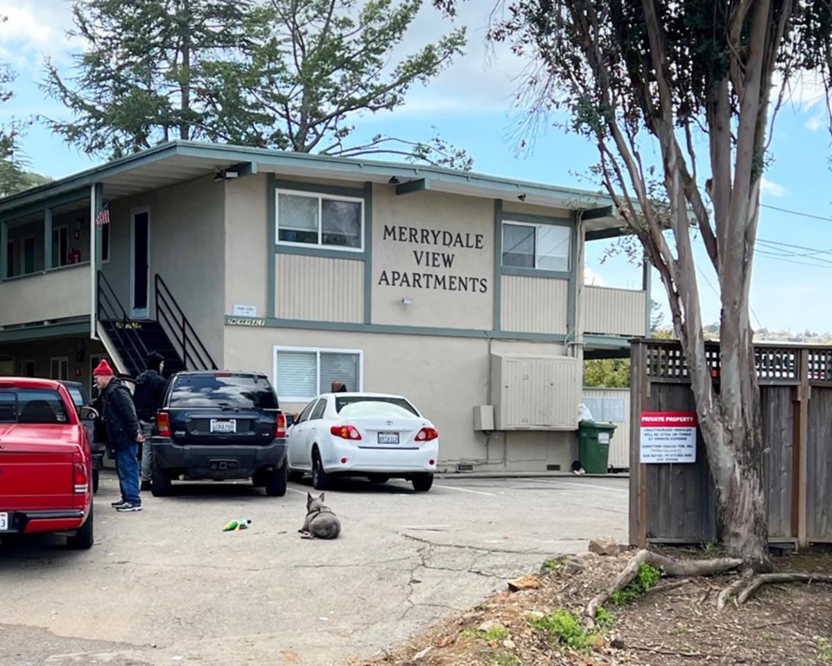 Midweek Marin Apartment's Update