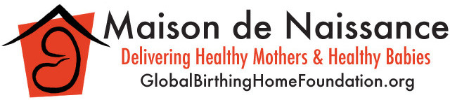 Large 2013 MN GBHF logo