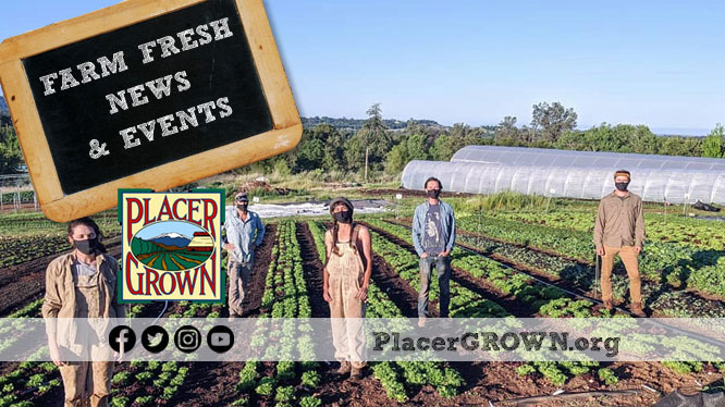 Hillview Farm  October 2021