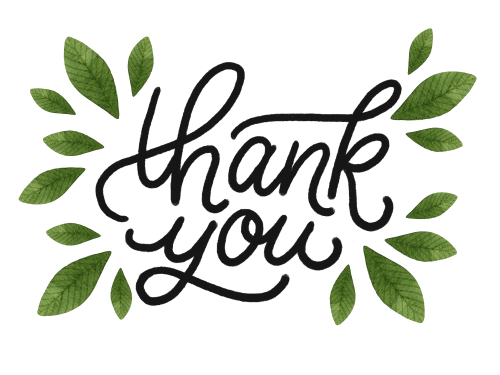 Thank you - hand drawn lettering with green watercolor leaves. Modern mono width brush calligraphy for stickers_ blogs and social media. Inspirational quotes for prints and posters.