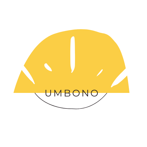 website logo