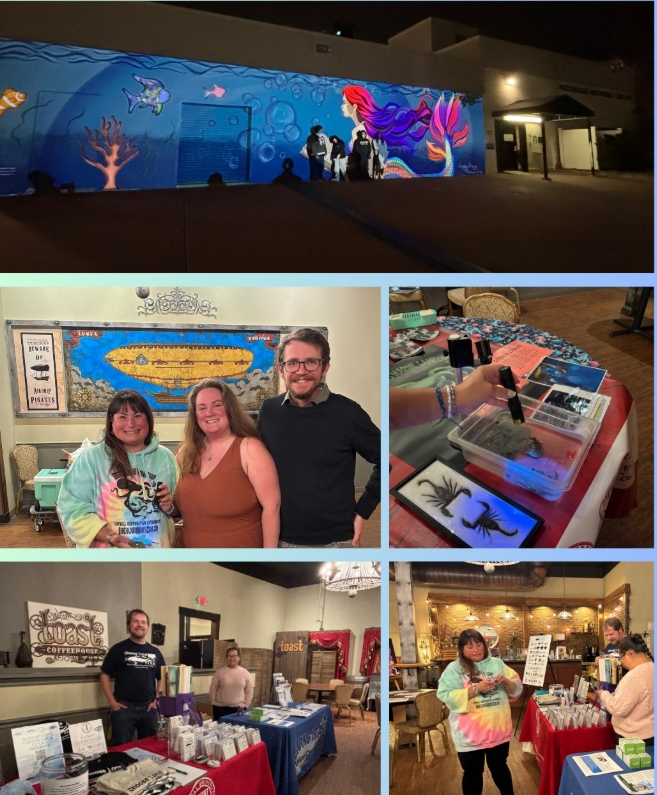 11062025 Moca LIghts