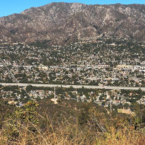 biodiversity loss image of foothill community by Ronnie Siegel 