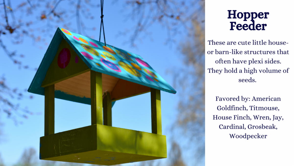 Feed the Birds Our Guide Pinder's Nursery Blog