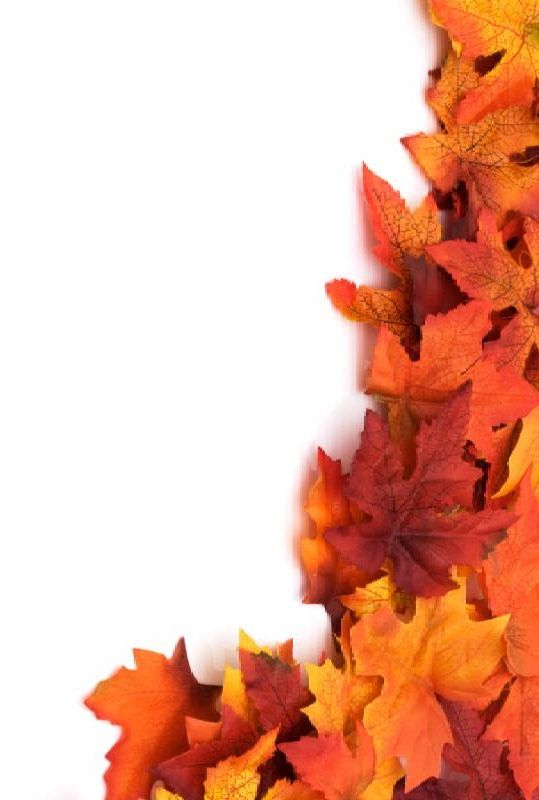 autumn_background.jpg