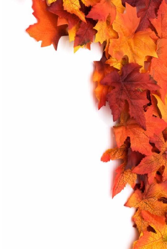 autumn_background.jpg