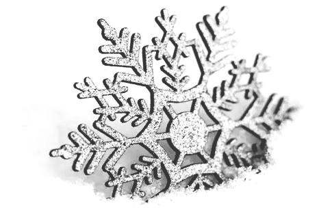 3d94efcd-b775-4205-a93b-9dfbba807c5b image