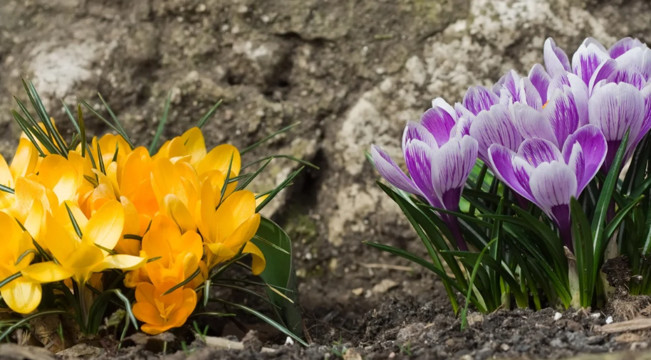 508abce2-fbee-44d2-8668-9f7b02e68bb7 image