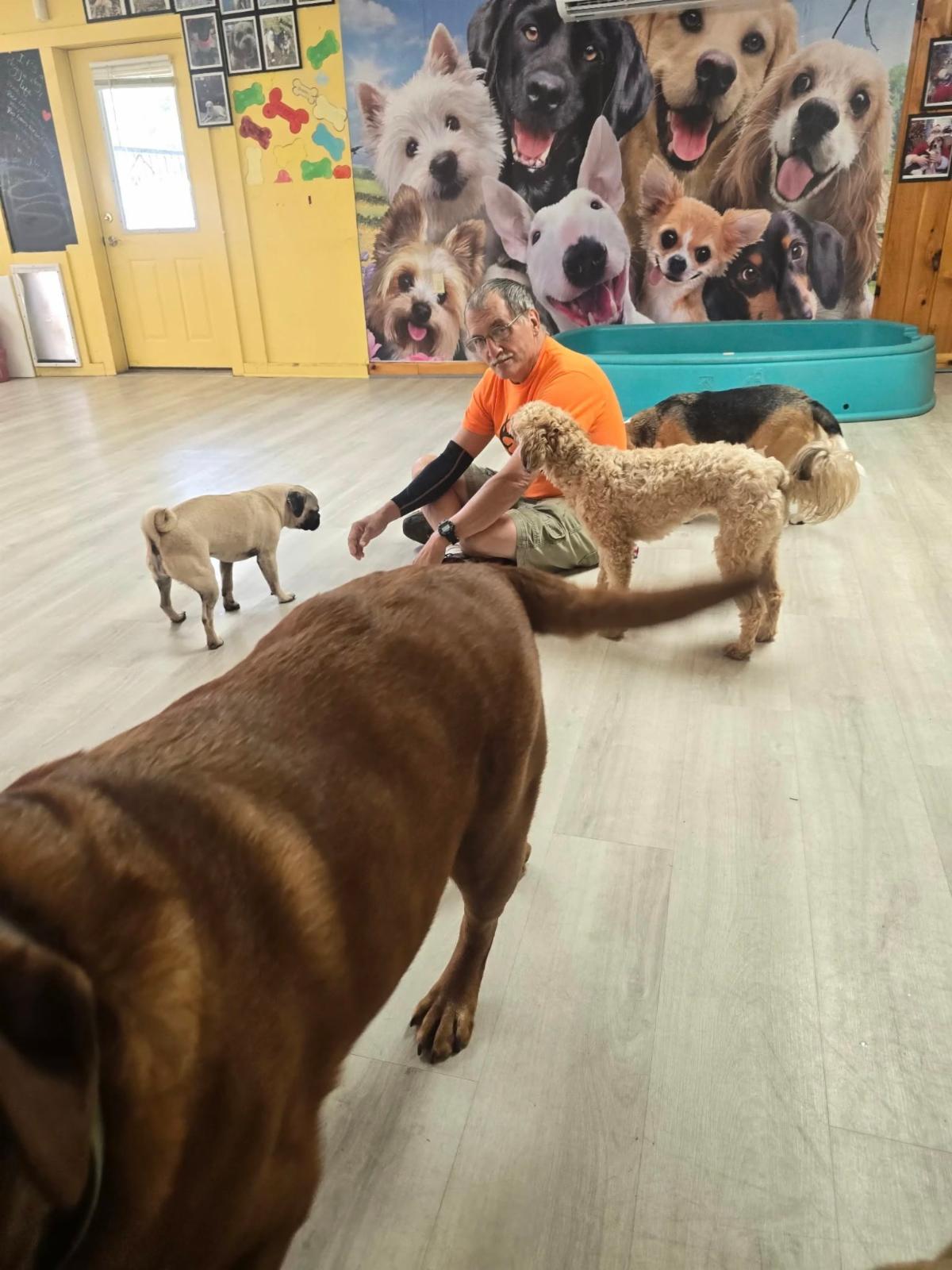 51a29db6-def1-4846-ac0e-d29edaede7e5 image