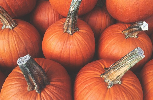 81d6020b-ca1c-4857-993b-63364228b4c7 image