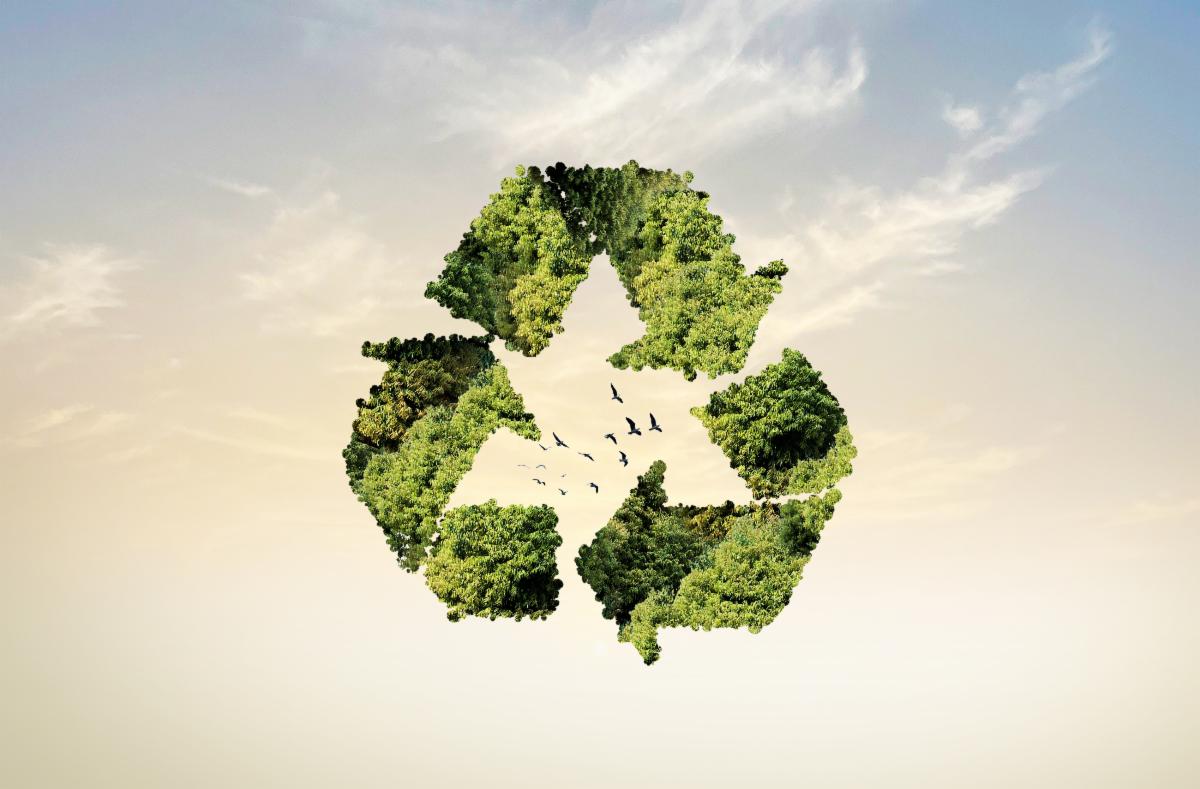 95309bc2-3f1c-4465-a3f6-9713183c219b image