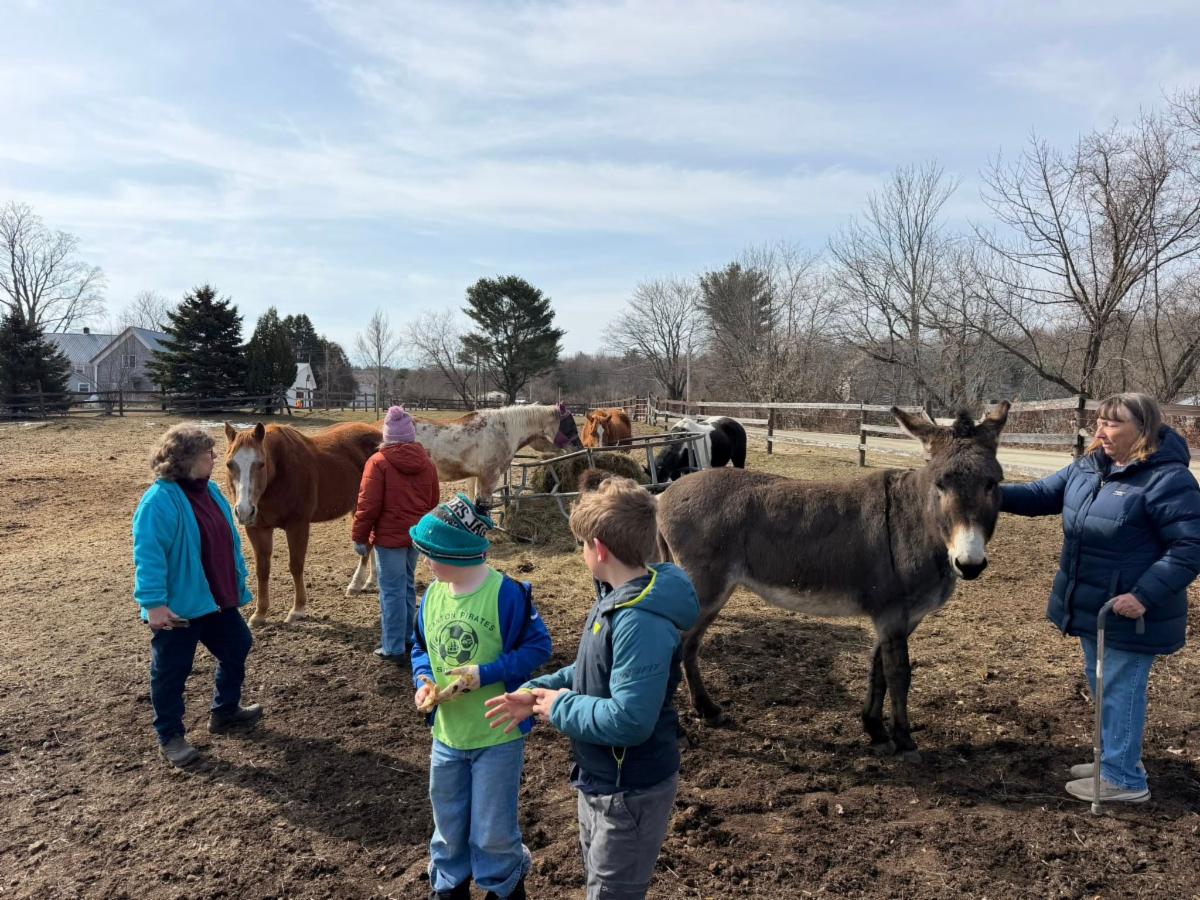 a35992f1-2d0a-46b2-b716-b403cdf1f0f1 image