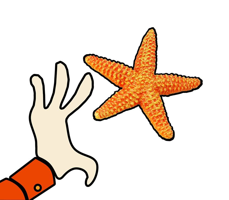 b80d0434-fc65-470a-8ea1-cb0a7939fd50 image