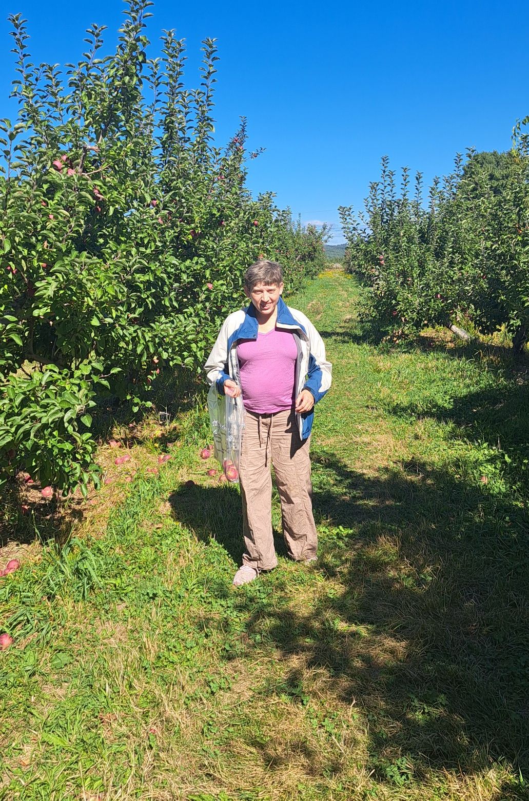 d65a11fb-b9b9-4988-af85-f2a94441f5c4 image