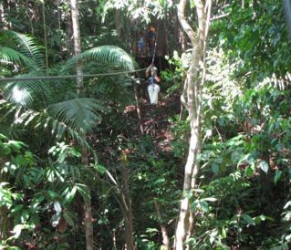 ELENA ZIPLINING-COSTA RICA
