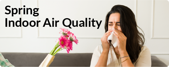 spring in door air quality including a lady blowing her nose next to a vase of pink daisies