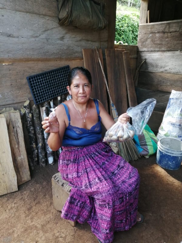 Use 284353884_695460758385573_244556309623904022_n.jpg