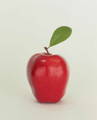 apple.jpg