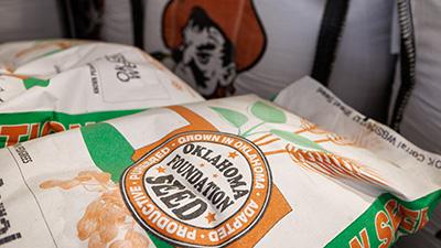 Bags of seed at Oklahoma Foundation Seed Stocks.