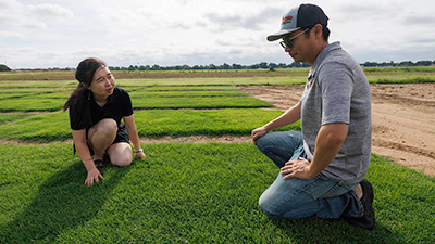 Mingying Xiang looks over turfgrass research plots with Shuhao Yu.