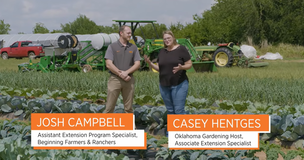 Two people stand in a vegetable field with rows of mature cabbage plants in the foreground. Farm equipment, including green tractors and irrigation reels, is visible behind them, along with high tunnels and a red pickup truck. Text on the image identifies the speakers as “Josh Campbell, Assistant Extension Program Specialist, Beginning Farmers & Ranchers” and “Casey Hentges, Oklahoma Gardening Host, Associate Extension Specialist.”