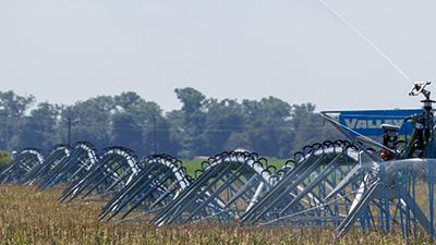 Blue irrigation equipment watering growing crops.