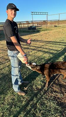 Harrison Lusk bottle feeds a calf.