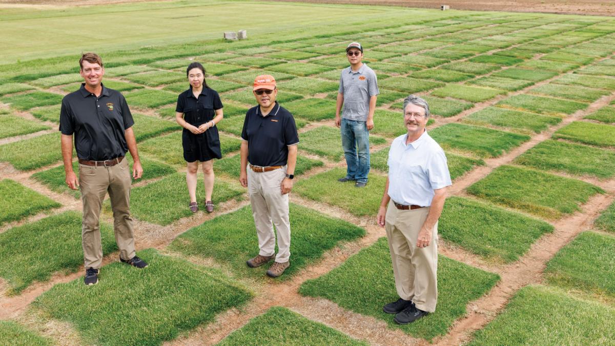 5 OSU Turfgrass researchers standing over their research blots at the agronomy research center.