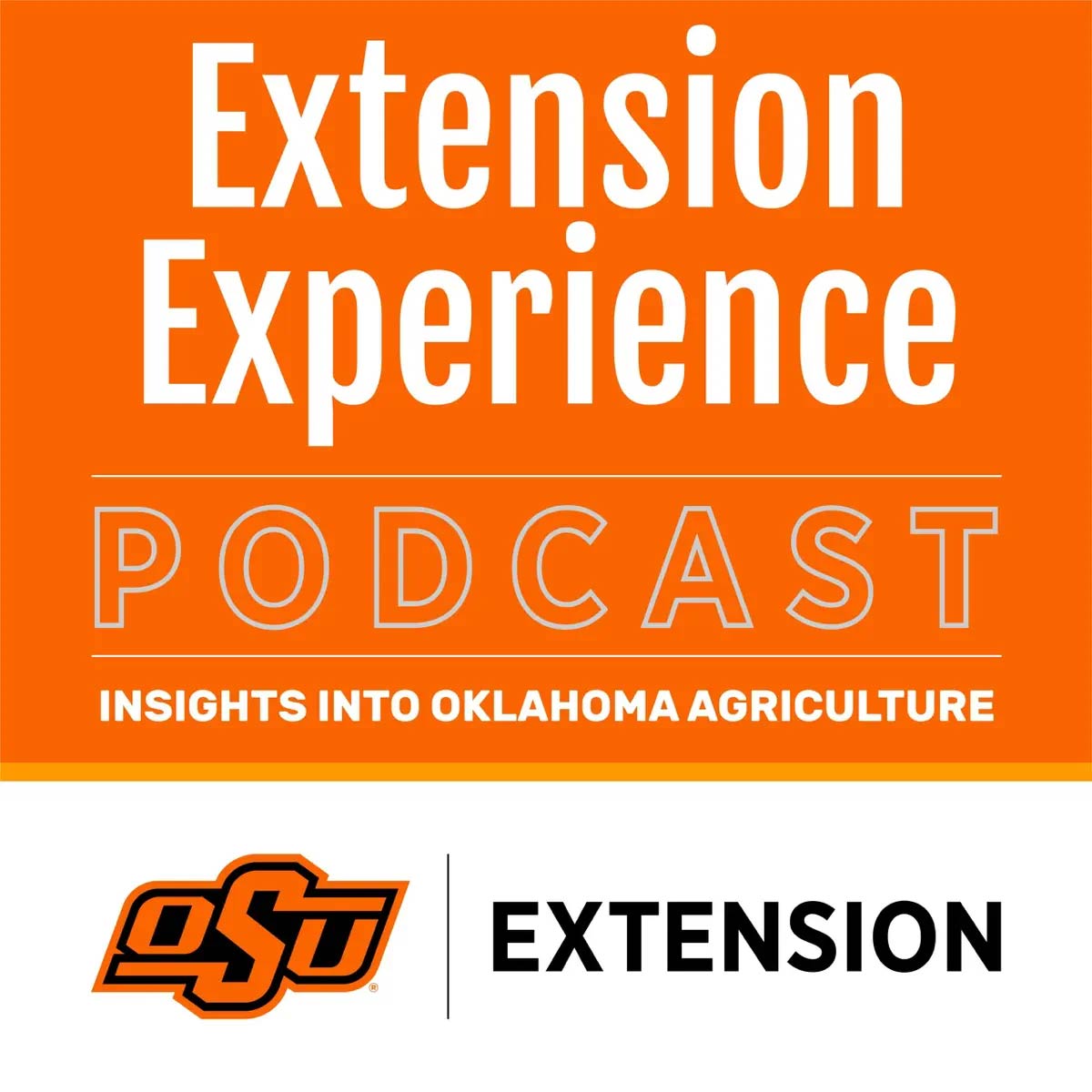 Extension Experience Podcast.