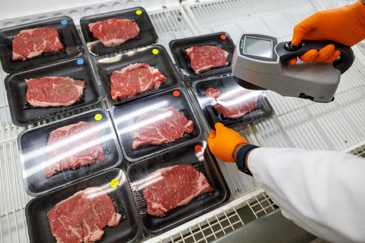 Dr. Ranjith Ramantahan works with students as they study meat discoloration research at Oklahoma State University in Stillwater on Wednesday, May 6, 2026. (Photo by Mitchell Alcala/OSU Agriculture)