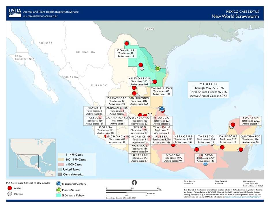 Map of Mexico from USDA APHIS illustrating New World screwworm case status as of May 27, 2026. States are shaded in different colors representing case ranges (from under 500 to over 1,000 cases). Red circles indicate active cases and gray circles indicate inactive cases. Text boxes list total and active animal cases for each state, with the highest totals shown in southern states such as Chiapas, Oaxaca, and Veracruz. A legend explains case ranges and symbols, and a note states Mexico totals of 26,216 cases and 2,072 active cases.