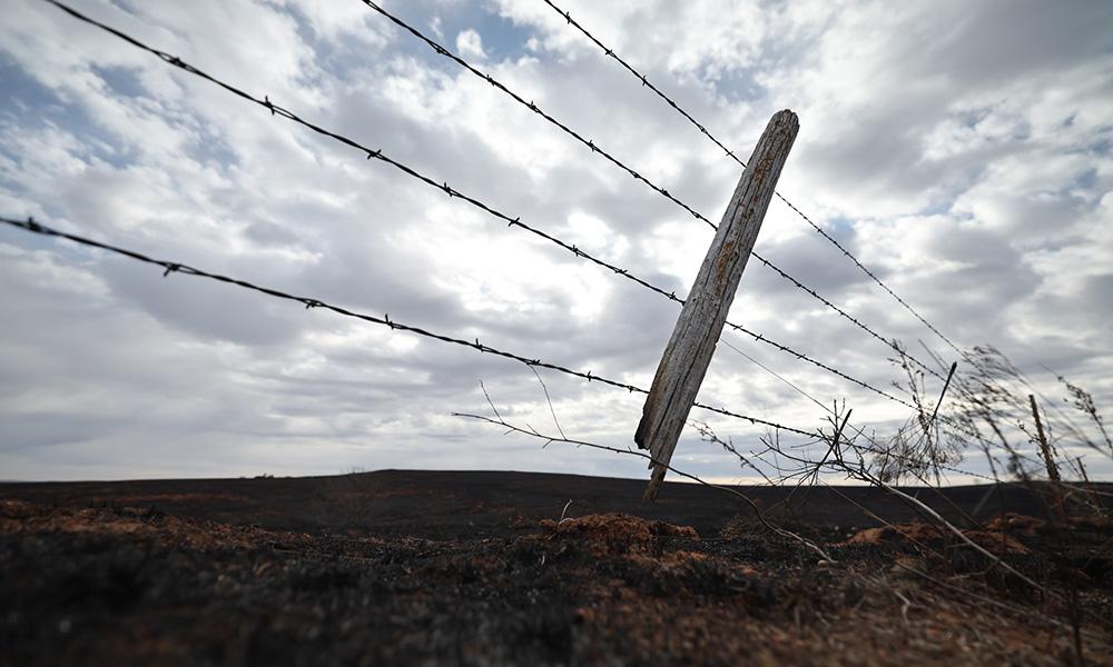 A barbed wire fence burned from a wildfire.