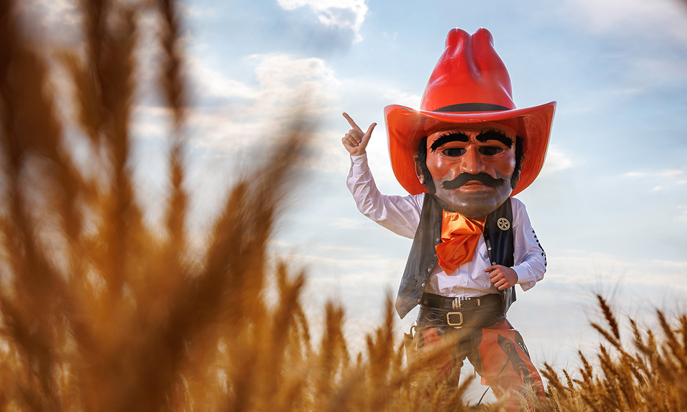 Pistol Pete stands in a wheat field.