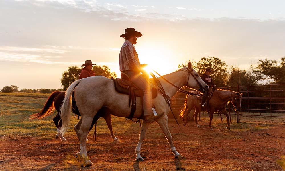 Three people riding horses during sunset.