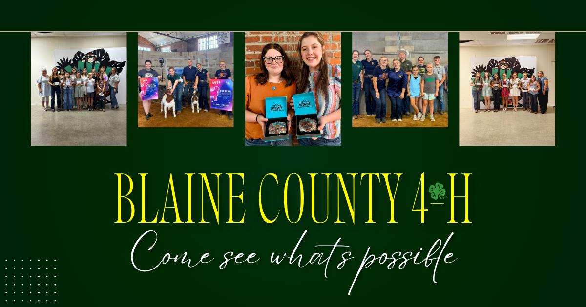 Promotional graphic for Blaine County 4-H on a dark green background. Across the top are five photographs showing youth and adults participating in 4-H activities, including group award photos, livestock exhibitors with goats, youth holding award plaques, and 4-H club members gathered together. In the center of the graphic, large yellow text reads “BLAINE COUNTY 4-H” with a green four-leaf clover 4-H emblem incorporated into the design. Beneath the title, white script text reads, “Come see what’s possible.” Decorative white dot accents appear in the lower left corner. The overall design highlights achievement, leadership, livestock projects, awards, and youth participation in Blaine County 4-H programs.